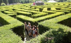 The maze at Leeds Castle